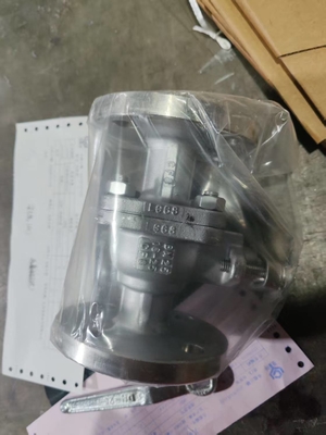 DN25 Paslanmaz Çelik 304 316 Transformör Küre Valfi El İşletilmesi
