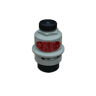 Korozyon Önleyici Trafo Paslanmaz Çelik Basınç Tahliye Vanası 105 ℃ Çalışma sıcaklığı